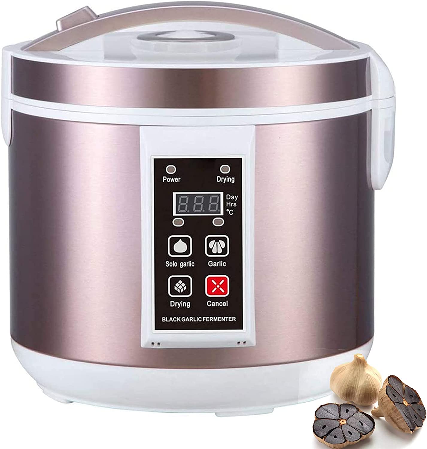 5L fermentator do czarnego czo – Diy Electronics Starter Kit recenzja i cena
